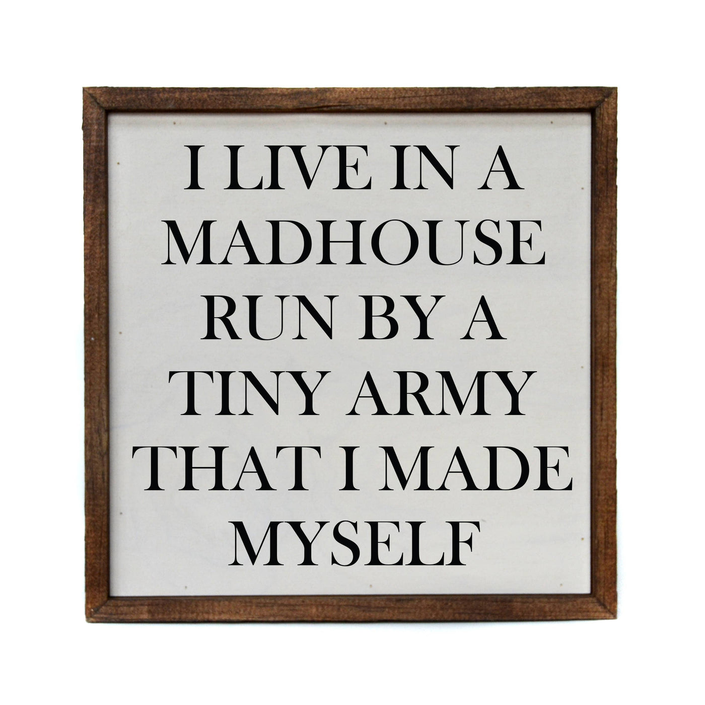 10x10 I Live In A Madhouse Run By A Tiny Army That I Made